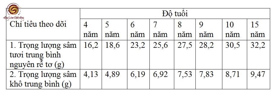 Khu vực phân bố chính của Sâm Mộc Linh