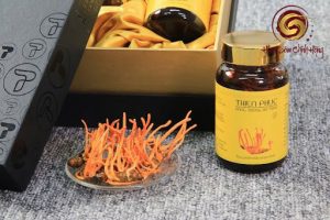 Cao hồng sâm đông trùng hạ thảo Thiên Phúc 500gr