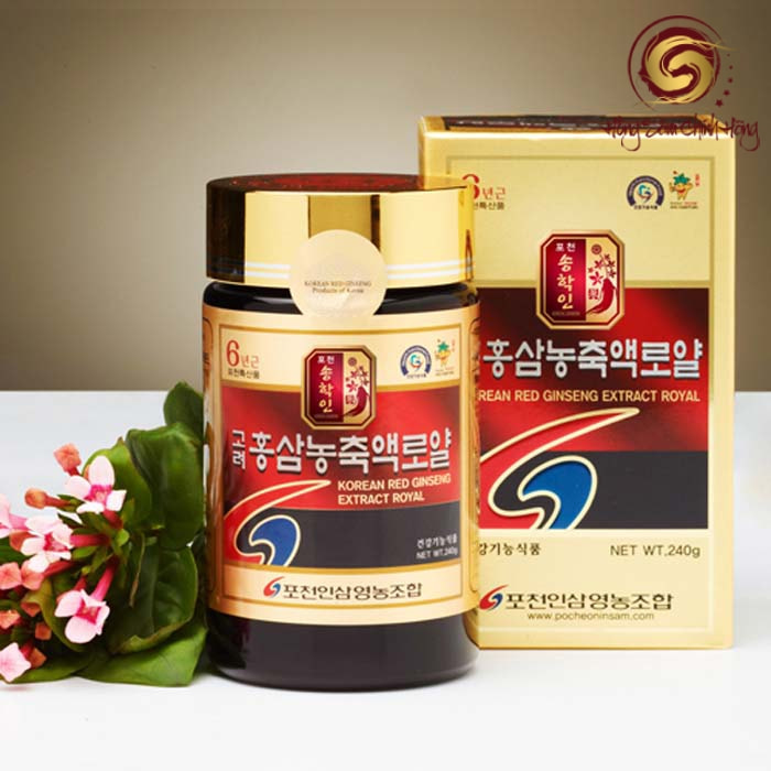 Cao hồng sâm Pocheon 240gr 100% nguyên chất (hộp vàng)