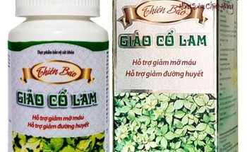 Các dạng bào chế của giảo cổ lam hiện có trên thị trường