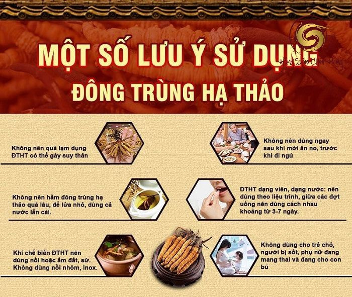 Lưu ý khi sử dụng Thuốc từ Nấm Đông Trùng Hạ Thảo