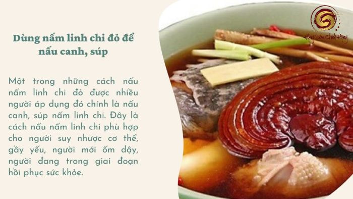 Giá nấm linh chi đỏ Hàn Quốc (bao sữa tai lớn) bao nhiêu?