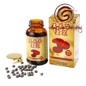 Thông tin sản phẩm nấm linh chi đỏ Hàn Quốc (bao sữa tai lớn)