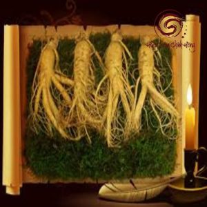 Nhân sâm 4 củ 1kg