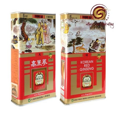 Sâm khô KGS 75g lớn