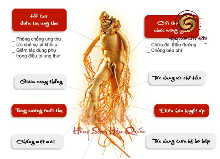 Hướng dẫn sử dụng sâm Hàn Quốc đúng cách