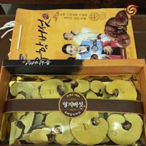 Nấm hộp cô gái 1kg/hộp Hàn Quốc