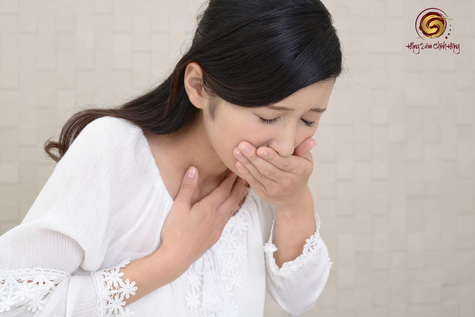 Sâm bố chính có tác dụng gì