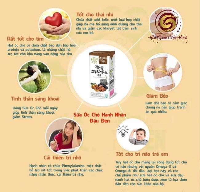 Công dụng của sữa óc chó hạnh nhân