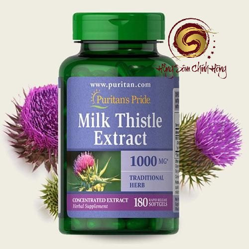 Milk Thistle Extract – Sản phẩm hỗ trợ giải độc và bảo vệ gan của Mỹ