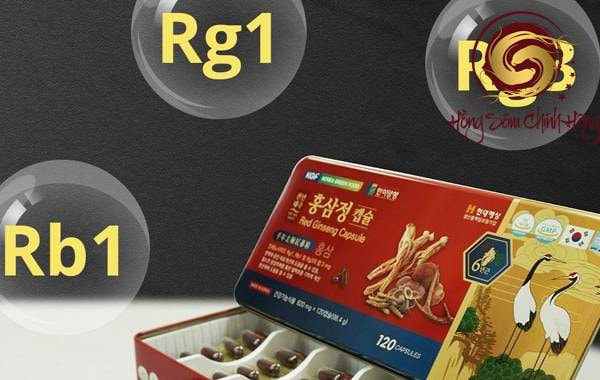 đạm sâm hàn quốc