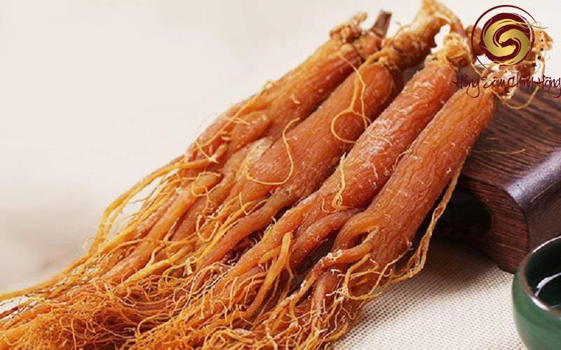 sâm ngậm hàn quốc