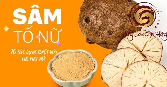 sâm tố nữ có tác dụng gì