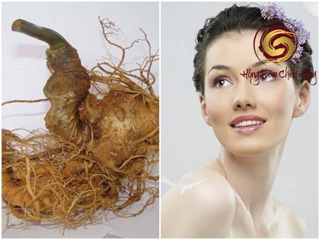 Tác dụng của sâm ngọc linh đối với phụ nữ 