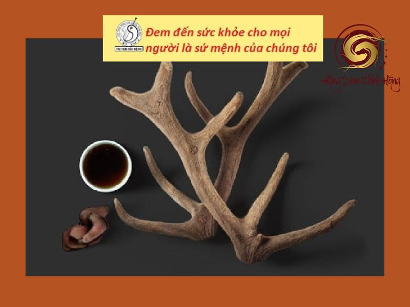 Tác dụng của sâm nhung