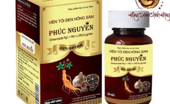 tỏi đen hồng sâm phúc nguyên