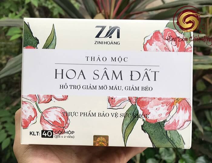 tác dụng của trà hoa sâm đất