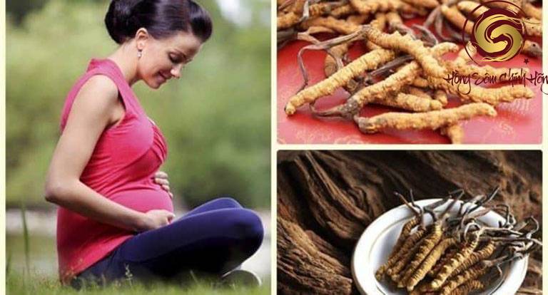 bầu có uống được đông trùng hạ thảo không