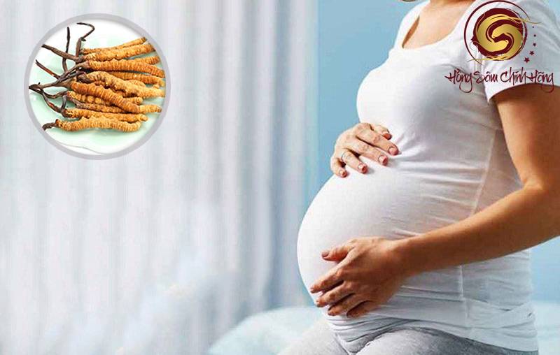 bầu có uống được đông trùng hạ thảo không
