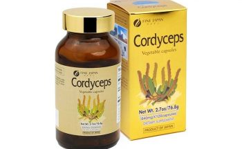 cordyceps là thuốc gì