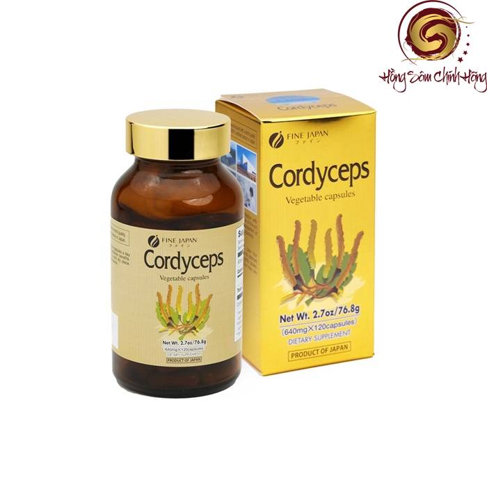 cordyceps là thuốc gì