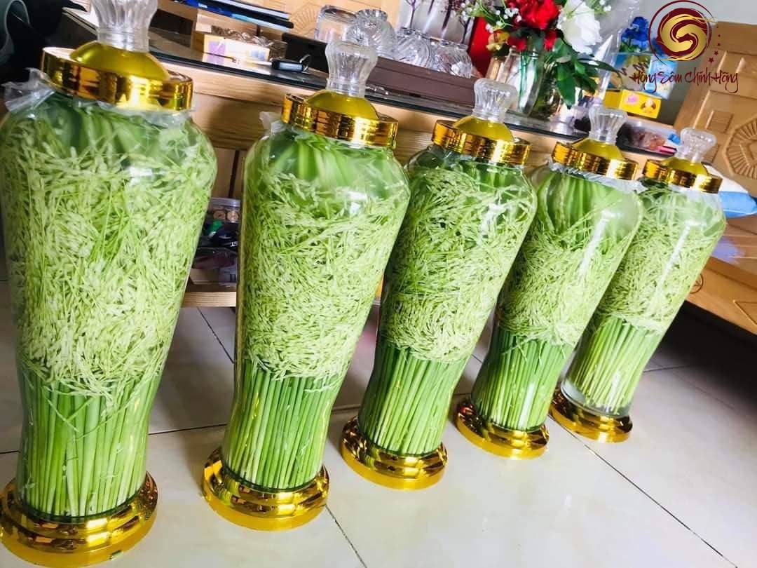 đòng đòng ngâm rượu