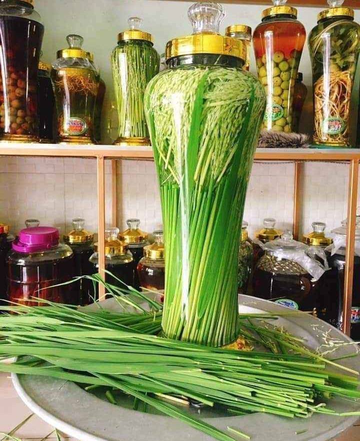 đòng đòng ngâm rượu