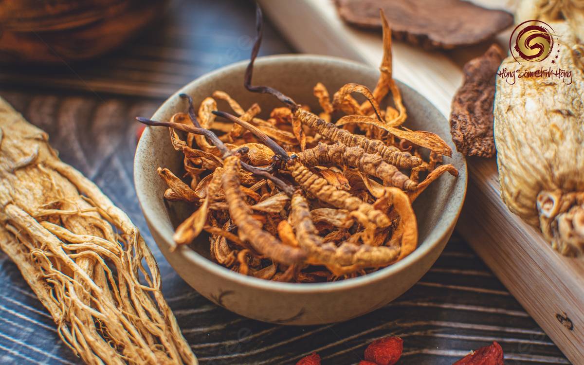 đông trùng hạ thảo nhân sâm