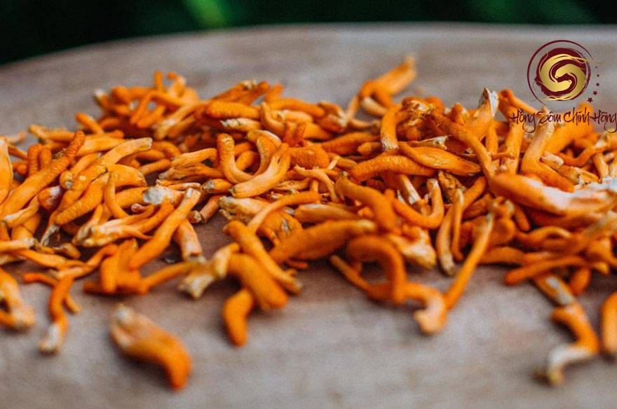 giá đông trùng hạ thảo khô đà lạt