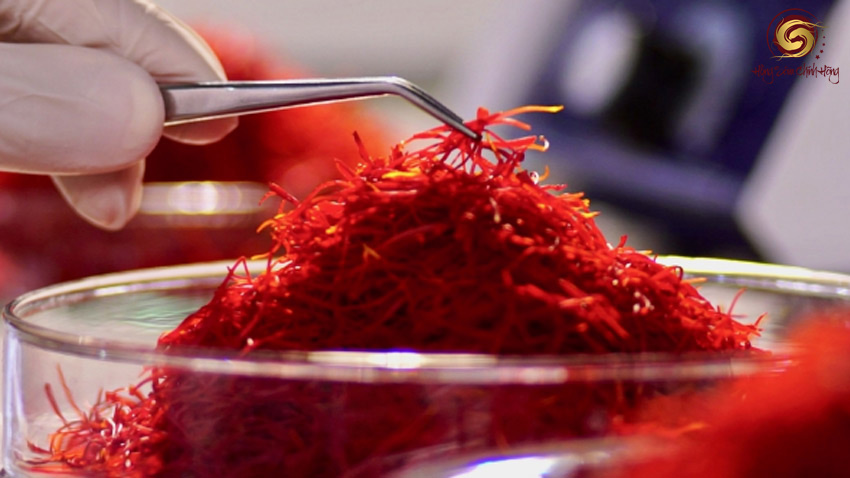 Giá saffron nhụy hoa nghệ tây hiện tại bao nhiêu tiền? Cập nhật bảng giá saffron mới nhất hiện nay