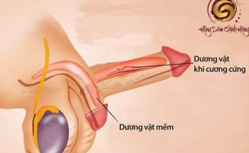 liệt dương có chữa được không