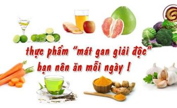 Các thực phẩm làm mát gan giải độc tại nhà