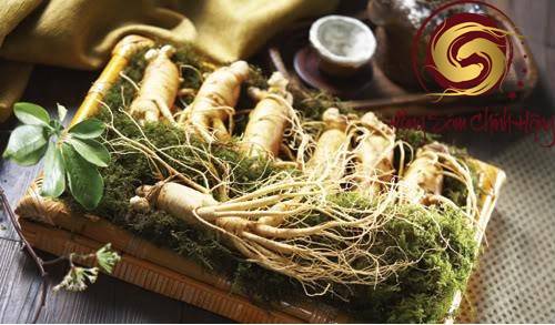 nhân sâm dưỡng linh chi