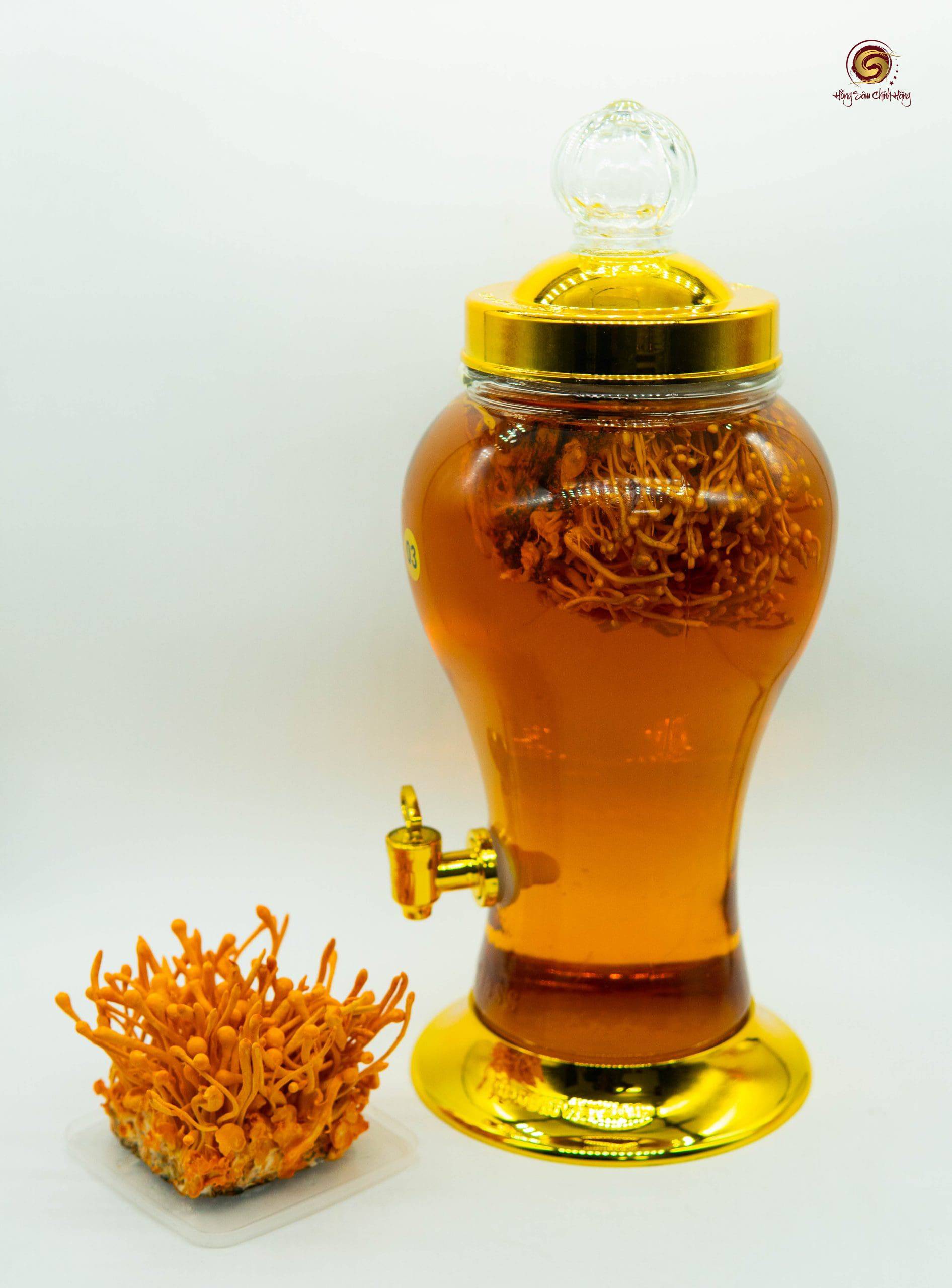 đông trùng hạ thảo nhân sâm