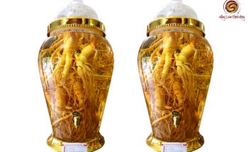 Công dụng của rượu nhân sâm Hàn Quốc