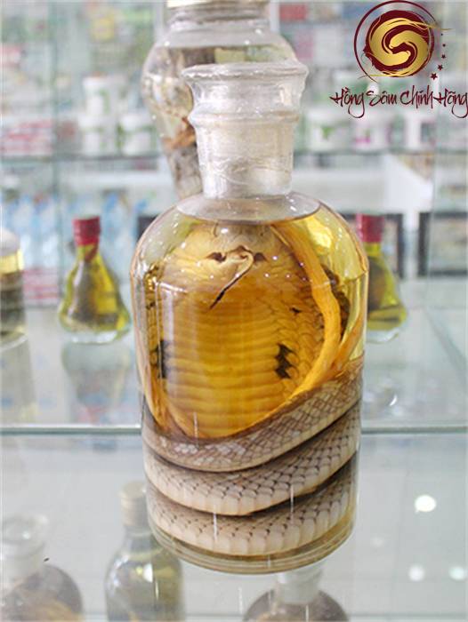 rượu rắn