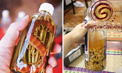 rượu thuốc xoa bóp