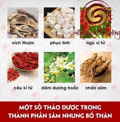 Thuốc sâm nhung