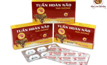 Thuốc tuần hoàn não có tốt không? Công dụng, cách dùng thuốc tăng tuần hoàn não