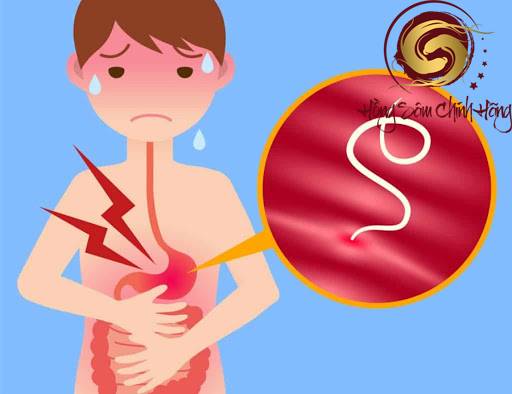 Trẻ mấy tuổi thì tẩy giun?